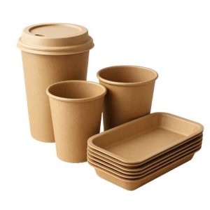 Envasos d'un sol ús